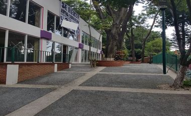 Local comercial en Renta, Cuernavaca