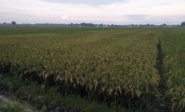 Tanah dijual di Jawa Timur, Mojokerto Kabupaten