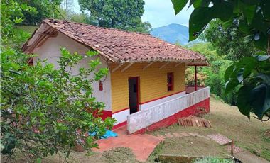 VENTA FINCA TITIRIBI, SUROESTE ANTIOQUEÑO