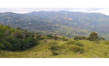 VENTA  DE LOTE EN FREDONIA - SUROESTE ANTIOQUEÑO