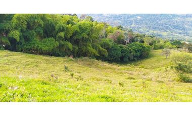 VENTA  DE LOTE EN FREDONIA - SUROESTE ANTIOQUEÑO