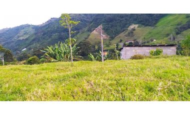 VENTA  DE LOTE EN FREDONIA - SUROESTE ANTIOQUEÑO