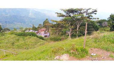 VENTA  DE LOTE EN FREDONIA - SUROESTE ANTIOQUEÑO