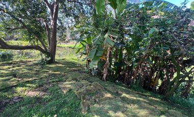 lote en venta en la palma. Cod V12082