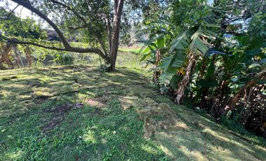 lote en venta en la palma. Cod V12082