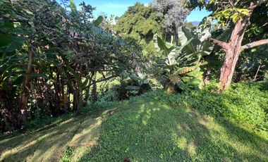lote en venta en la palma. Cod V12082