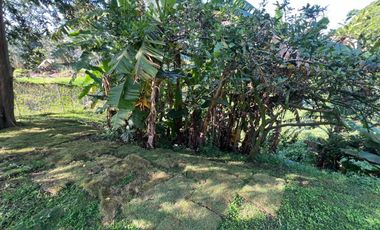 lote en venta en la palma. Cod V12082