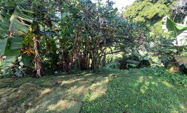 lote en venta en la palma. Cod V12082