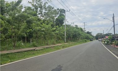 Se Vende Finca Comercial de 4.7 Hectáreas La Chorrera (H)
