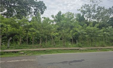 Se Vende Finca Comercial de 4.7 Hectáreas La Chorrera (H)