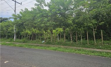 Se Vende Finca Comercial de 4.7 Hectáreas La Chorrera (H)