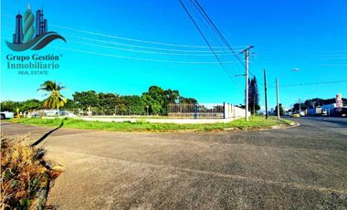 LOTE COMERCIAL EN PANAMERICANA
