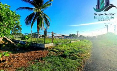 LOTE COMERCIAL EN PANAMERICANA