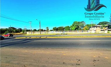 LOTE COMERCIAL EN PANAMERICANA