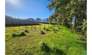 Se arrienda terreno en Buin