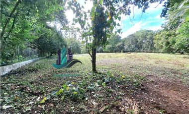VENDO TERRENO DE 3787m2 VIA PRINCIPAL