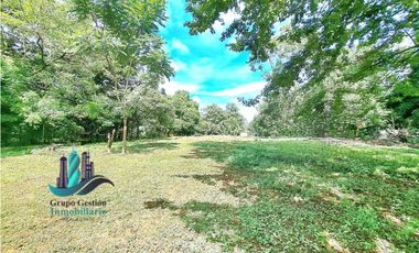 VENDO TERRENO DE 3787m2 VIA PRINCIPAL
