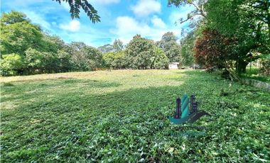 VENDO TERRENO DE 3787m2 VIA PRINCIPAL