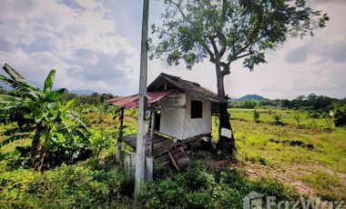 Land for sale in Lipa Noi, Surat Thani