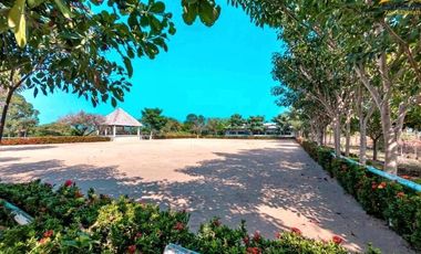 Rancho en Venta a Orilla de Río y a pasos del Mar, Golfo de México, Veracruz