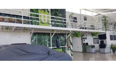 Excelente local comercial