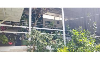 Excelente local comercial