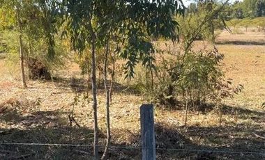 Oportunidad! Parcela de 6.500 m² en Bulnes