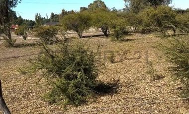 Oportunidad! Parcela de 6.500 m² en Bulnes