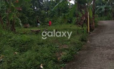 Tanah Murah dan Strategis di Kulonprogo