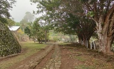 finca en venta en dapa. Cod V10677