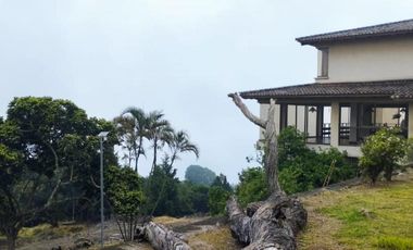 finca en venta en dapa. Cod V10677