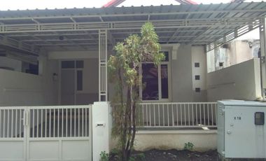 Rumah disewakan