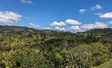 finca en venta en puente pelaez. Cod V400164
