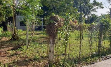 Lot For Sale in Silang Cavite