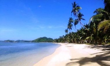 Beach Lot in New Busuanga, Palawan