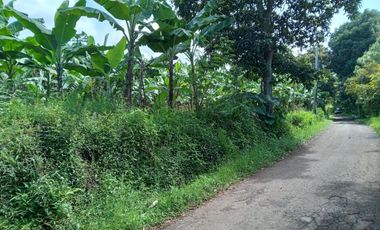 Tanah Di Punclut Ciumbuleuit Bandung Utara Cocok Untuk Investasi