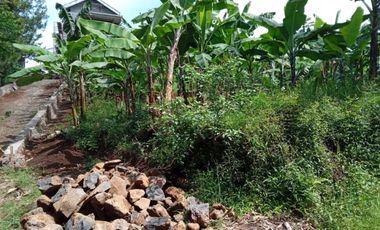 Tanah Di Punclut Ciumbuleuit Bandung Utara Cocok Untuk Investasi