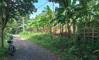 Tanah Di Punclut Ciumbuleuit Bandung Utara Cocok Untuk Investasi
