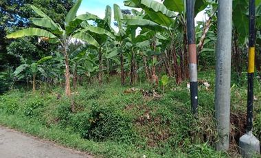 Tanah Di Punclut Ciumbuleuit Bandung Utara Cocok Untuk Investasi