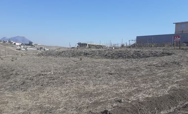 Terreno en Rosarito de 600 metros en Popotla, Terrazas del Pacifico