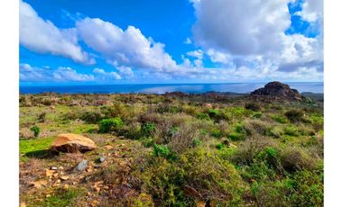 CASA MODELO ROCAS, CONDOMINIO PRIVADO, 4 DORM