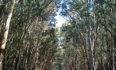 Excelente oportunidad para inversionistas