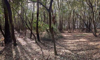 Excelente oportunidad para inversionistas