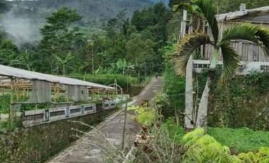 Vila kemuning area wisata 1.8M nego