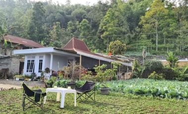 Vila kemuning area wisata 1.8M nego