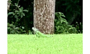 Se vende casa reformada en Corozal (Ancón)