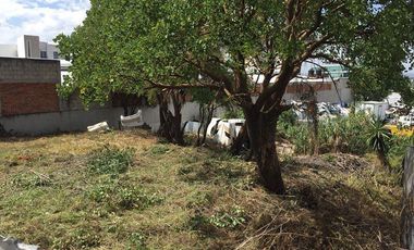 Renta Terreno zona Recta y Esteban de Antuñano