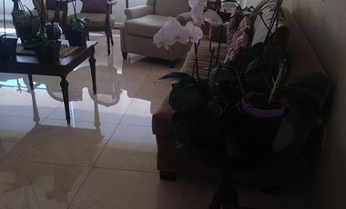 Departamento - Bosque Alto