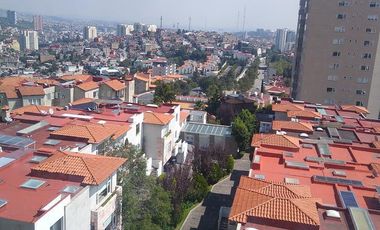 Departamento - Bosque Alto