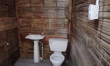 local en arriendo en centro. Cod A16543